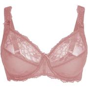 Voorgevormde bh Lingadore DAILY Beugel BH - Plus Size