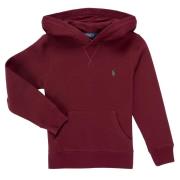 Sweater Polo Ralph Lauren LS PO HOOD