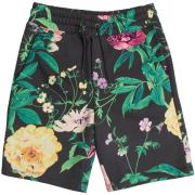 Korte Broek Gap 802834-000