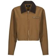 Windjack Only ONLCAVA