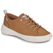 Lage Sneakers Palladium PALLANOVA LO LTH