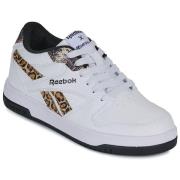 Schoenen met Wieltjes Heelys REEBOK BB4500 LOW