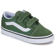 Lage Sneakers Vans Old Skool V