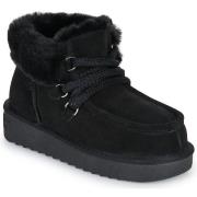 Laarzen D.Franklin 375 NORDIC