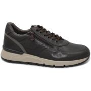 Lage Sneakers NeroGiardini NGD-I25-00870-322