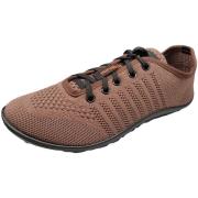 Nette Schoenen Leguano -
