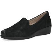 Instappers Caprice -