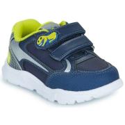 Lage Sneakers Chicco SCARPA FANTE