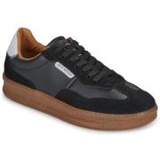 Lage Sneakers Steve Madden EUPHORIA