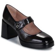 Ballerina's Hispanitas TOKIO