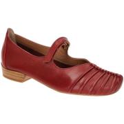 Ballerina's Everybody -