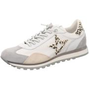 Nette Schoenen Cetti -