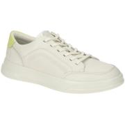 Lage Sneakers Ecco -