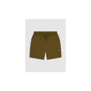 Korte Broek Dickies PELICAN RAPIDS - DK0A4XB2-DKO1 DARK OLIVE