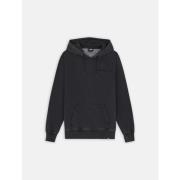 Sweater Dickies PLENTYWOOD HD - DK0A866D-BLK1 BLACK