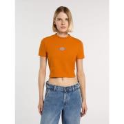 T-shirt Korte Mouw Dickies MAPLE VALLEY DK0A4XPO-K641 AUTUMN MAPLE