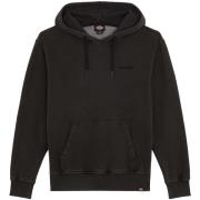 Sweater Dickies Plentywood Hoodie