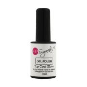 Basis &amp; Topcoats Asp Signature Glans Topcoat