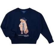 Sweater Polo Ralph Lauren BEAR KNIT-SWEATSHIRT