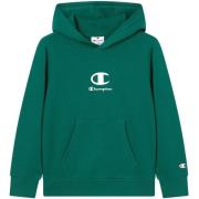 Sweater Champion Hooded Sweatshirt