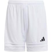 Korte Broek adidas Squa25 Sho Y