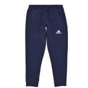 Trainingsbroek adidas ENT22 SW PNTY