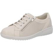 Instappers Solidus Maren