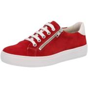 Instappers Solidus Kendal