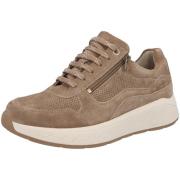 Lage Sneakers Solidus Ken