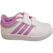 Sneakers adidas hoops