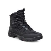 Wandelschoenen Ecco Expedition Iii High Gtx