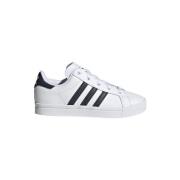 Lage Sneakers adidas Coast Star