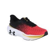 Lage Sneakers Under Armour Infinite Elite