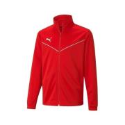 Sweater Puma Teamrise Training Poly