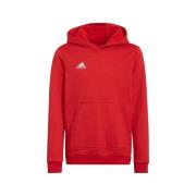 Sweater adidas Entrada 22