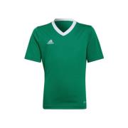 T-shirt Korte Mouw adidas Entrada 22