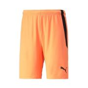 Korte Broek Puma Teamliga