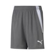 Korte Broek Puma Teamliga