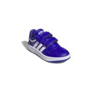 Lage Sneakers adidas Hoops 3.0
