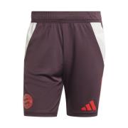 Korte Broek adidas IS9949