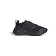 Hardloopschoenen adidas Quesatr Run
