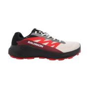 Hardloopschoenen Salomon Alphaglide Gtx
