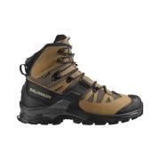 Wandelschoenen Salomon Quest 4 Gtx
