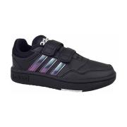 Lage Sneakers adidas Hoops 30 CF C