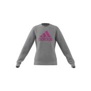 Sweater adidas Big Logo JR
