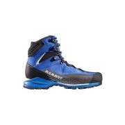 Wandelschoenen Mammut Kento Guide Ii High Gtx