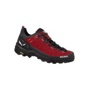 Wandelschoenen Salewa Alp Trainer 2 Gtx