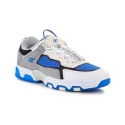 Skateschoenen DC Shoes Shanahan Metric Skate Shoes