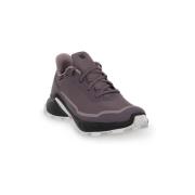 Hardloopschoenen Salomon Alphacross 5 Gtx