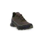 Lage Sneakers Salomon Alphacross 5 Gtx